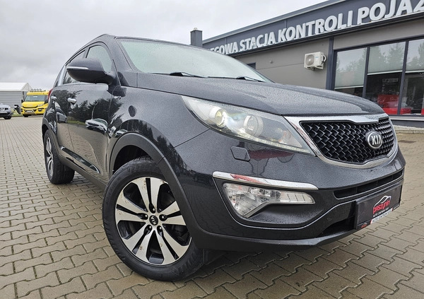 Kia Sportage cena 54990 przebieg: 178000, rok produkcji 2015 z Obrzycko małe 497